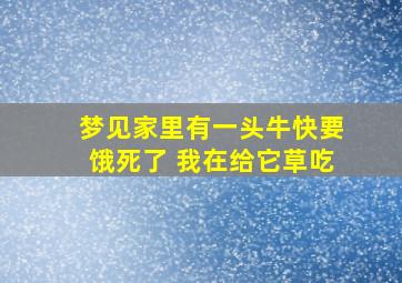 梦见家里有一头牛快要饿死了 我在给它草吃